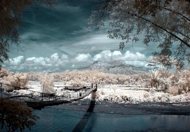 Bamboo Bridge #2
