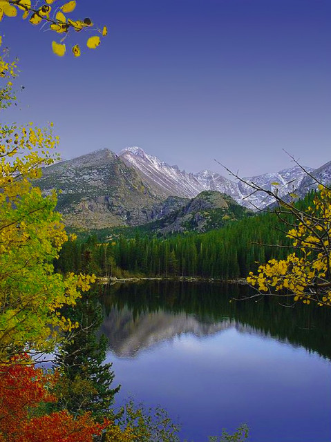 Afternoon Reflection