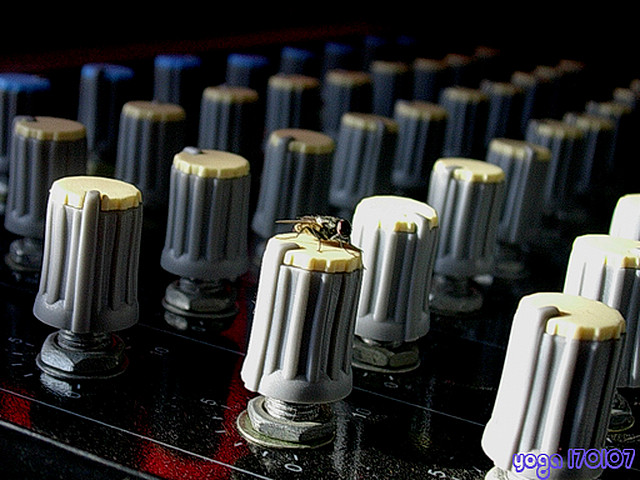 Sound Engineer