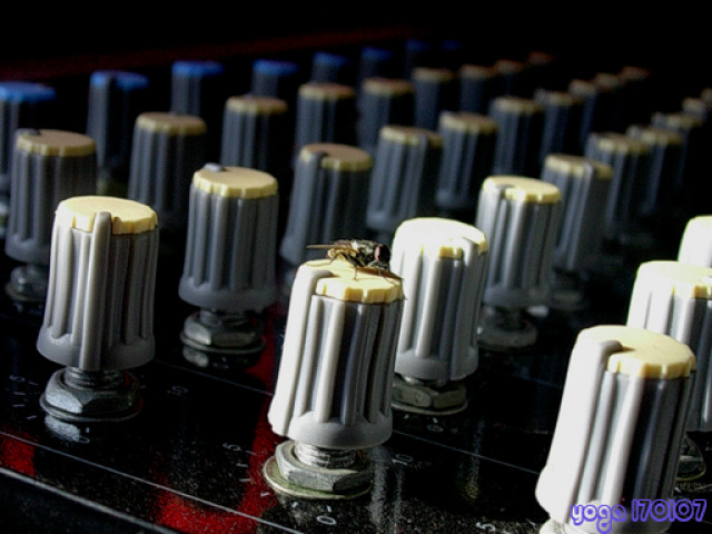 Sound Engineer