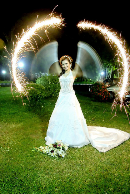 Wings Fire Wedding