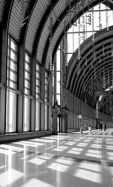 lines and curves
