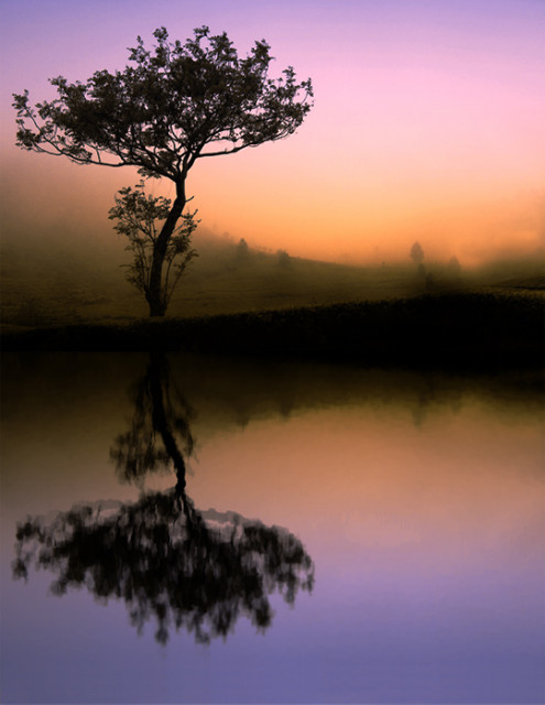 simple reflection