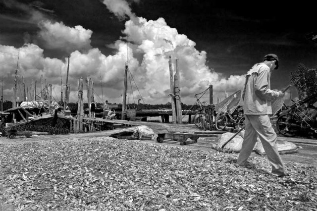 Harbour Workers