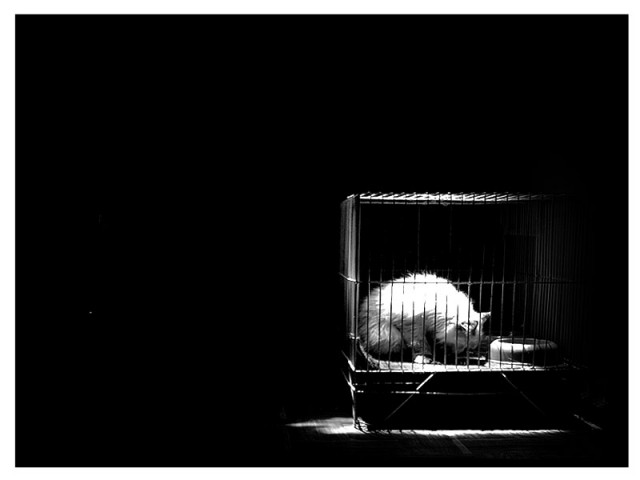 disini..sendiri lagi!