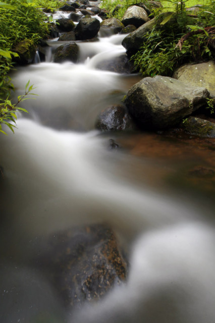 Nature Scene