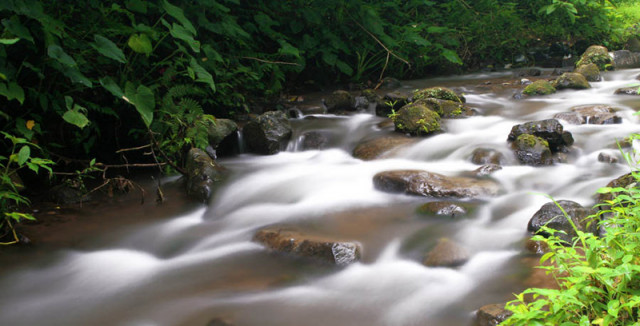 Nature scene #02