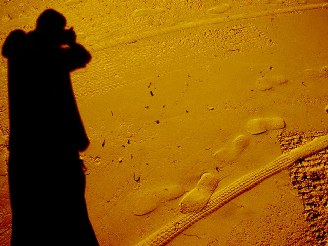 Shadow of August