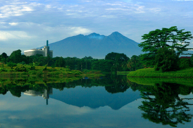 Silent morning
