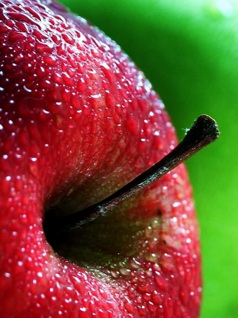 .: R E D   @ P P L E :.