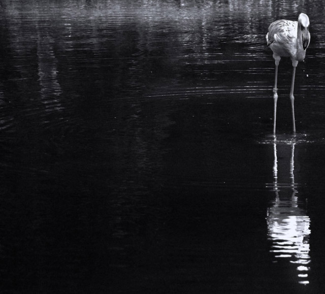 My Reflection...