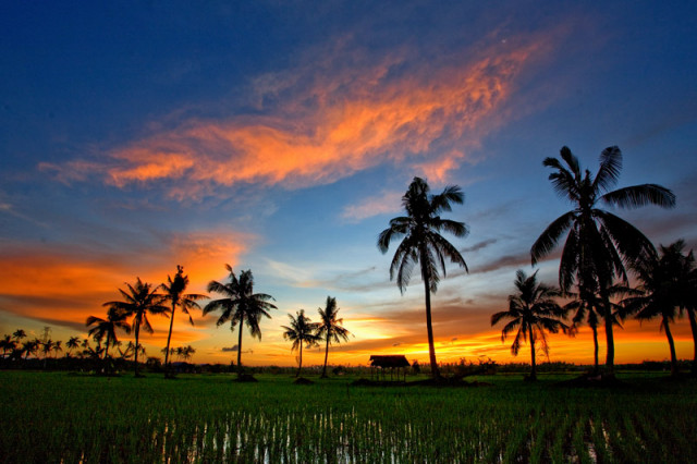 # Disuatu Senja #