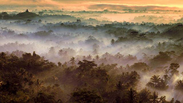 Di Antara Kabut 02