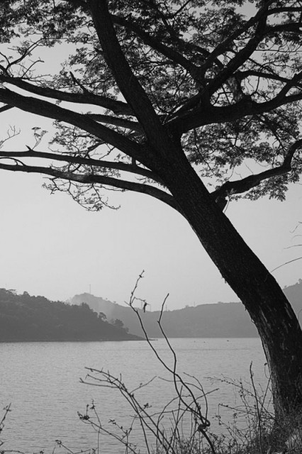 lonely day