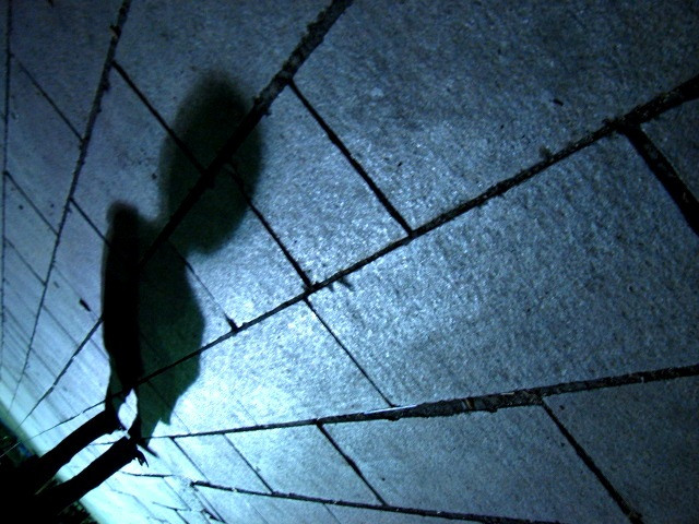 shadow is coming