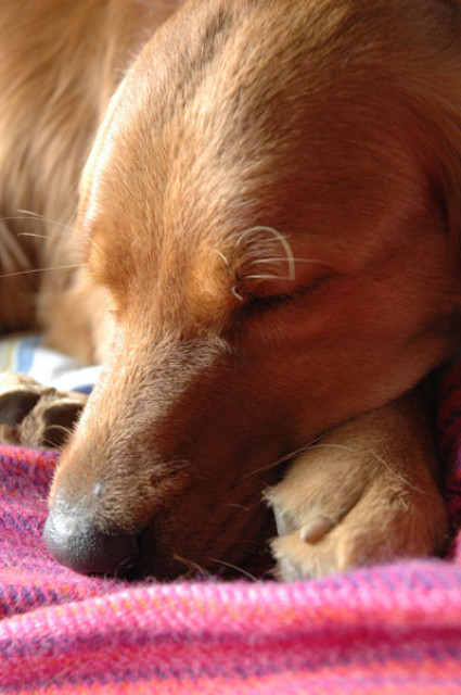 deepsleep
