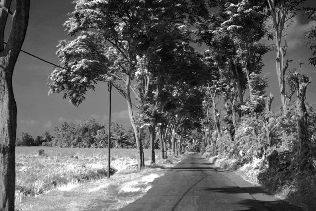jalan desaku