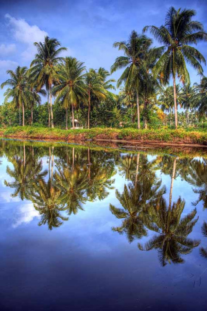 Reflection part 1
