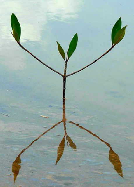 balance