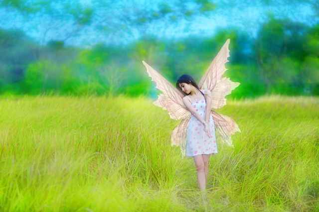 Inginku menjadi peri kupu-kupu