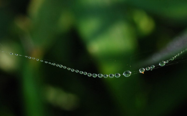 Kalung Embun