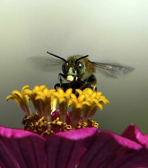 Waspada,.....