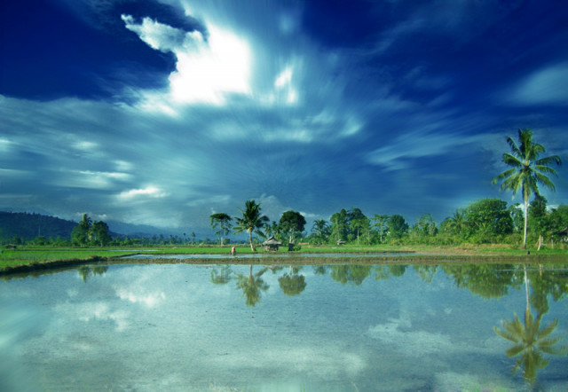 ..MORNING REFLECTION..