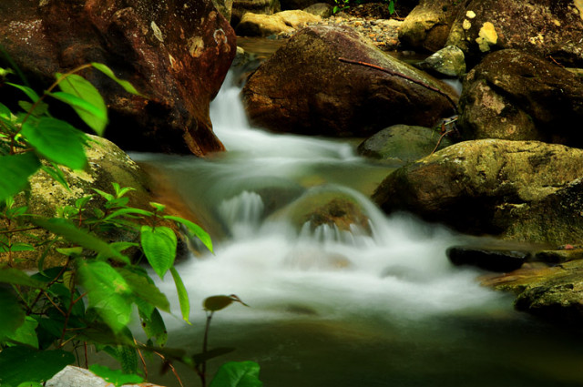 back to NATURE #3