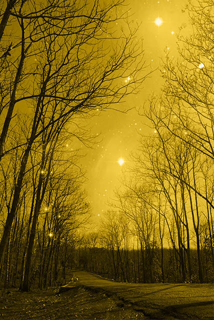 yellow mellow