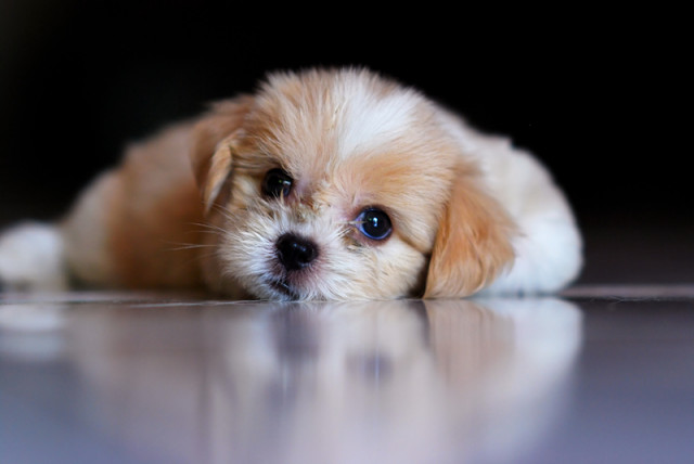 Cute look...