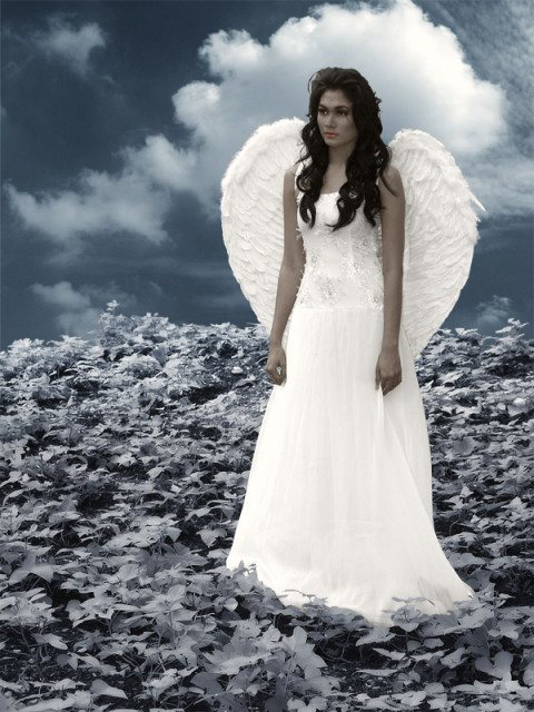 White Angel ..