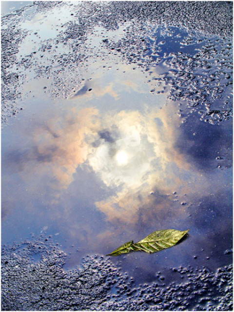 Sunshine after the Rain