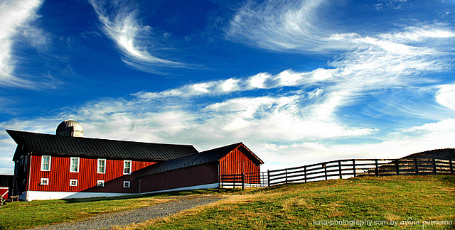 Virginia in HDR