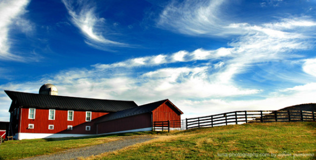Virginia in HDR