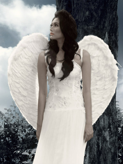 Portrait Of An Angel..