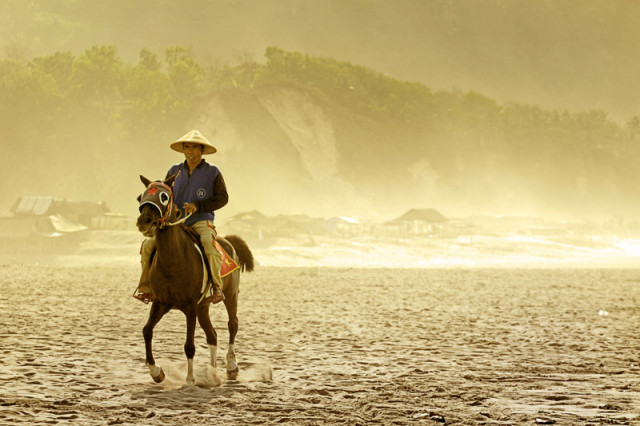 Lone Rider