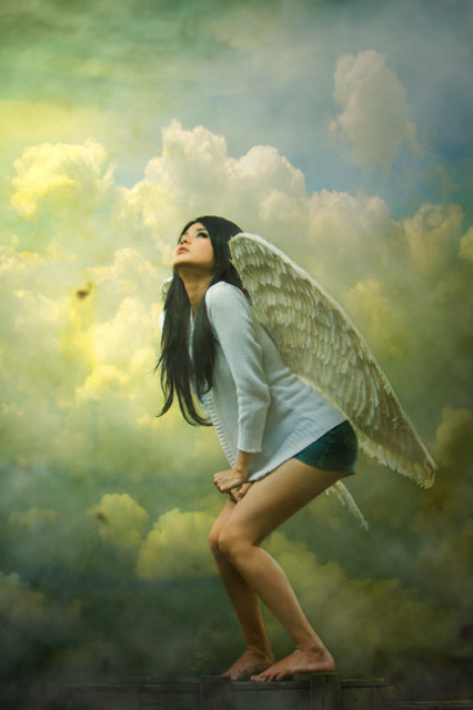 Angel has landed