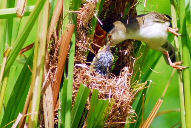 Feeding time