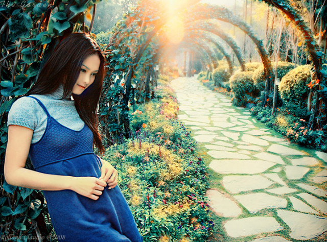THE GARDEN