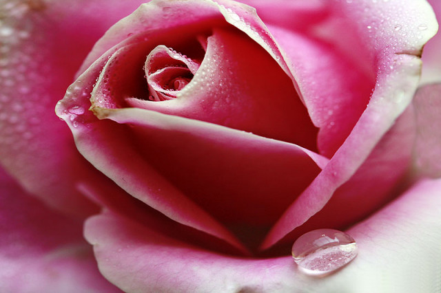 Selamat Jalan Pak Harto