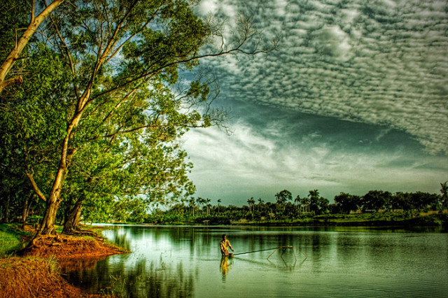 the lake view