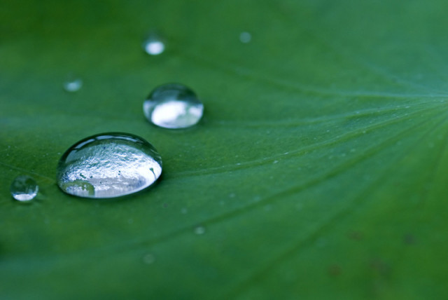 after rain
