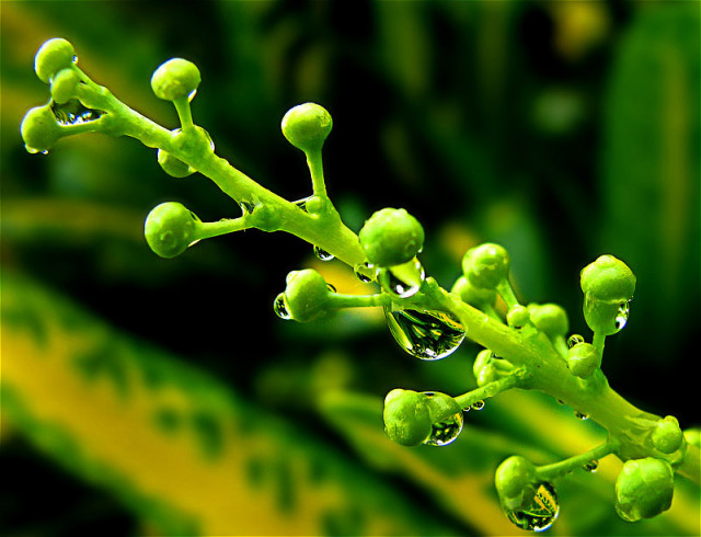 : Waterdrop :