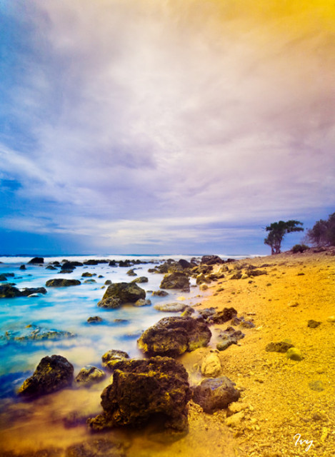 Island of Dreams