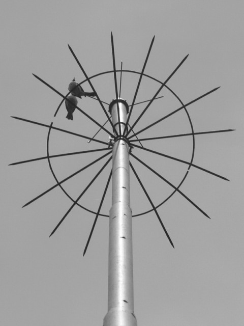 Jeruji tak bersangkar