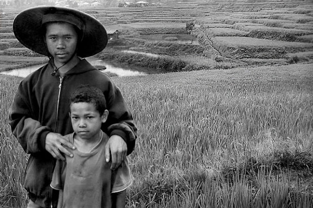 Kami Masih Punya Sawah