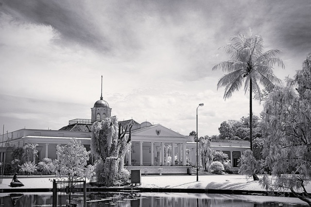 The Palace