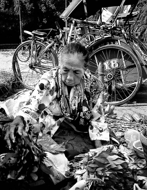 PENJUAL DAUN