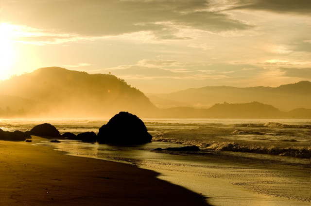 Goldie Sunrise