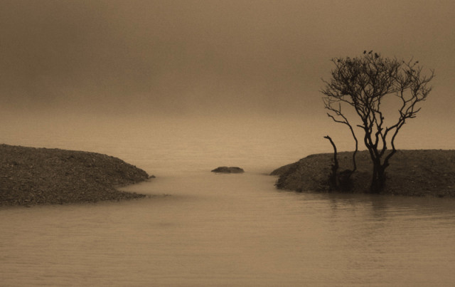 . . . Silence . . .